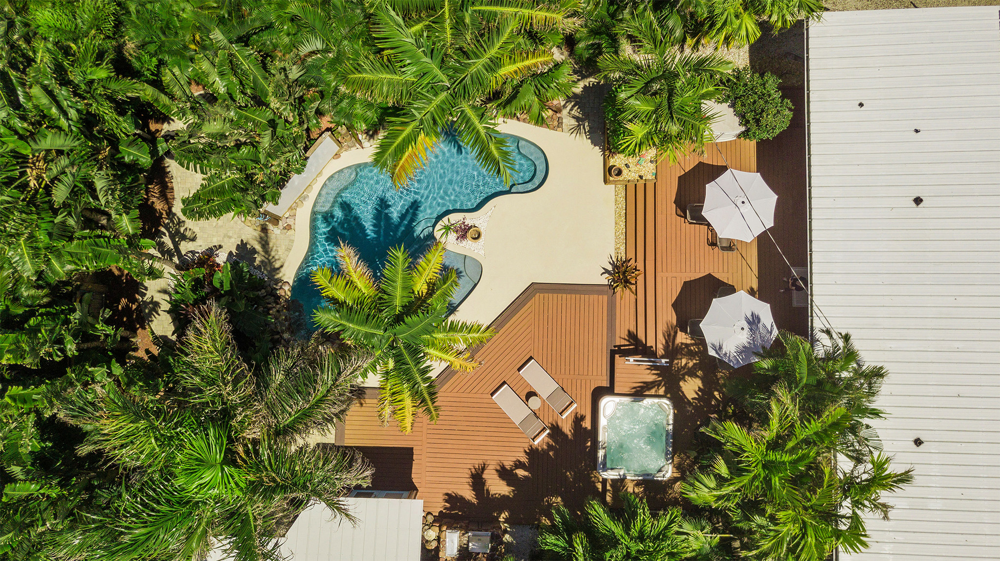 Tropical lagoon-style pool surrounded by lush palm trees and greenery, with a sun shelf for lounging.